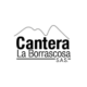 CANTERA LA BORRASCOSA, INDUSTRIAL CONCONCRETO