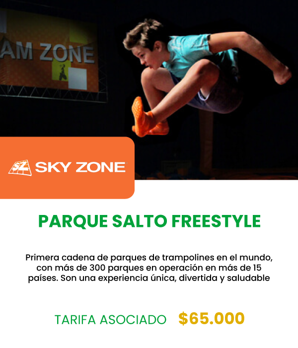 SKY ZONE